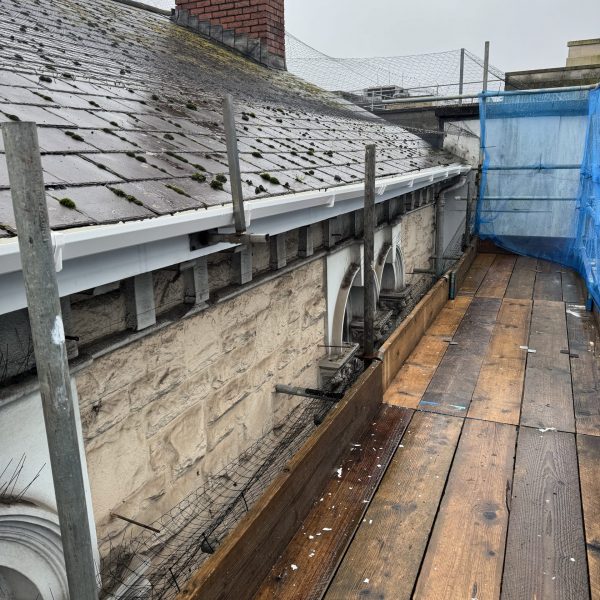 Scaffolding erected along house roof - Professional scaffold services by ACME Plus Scaffolding, Devon